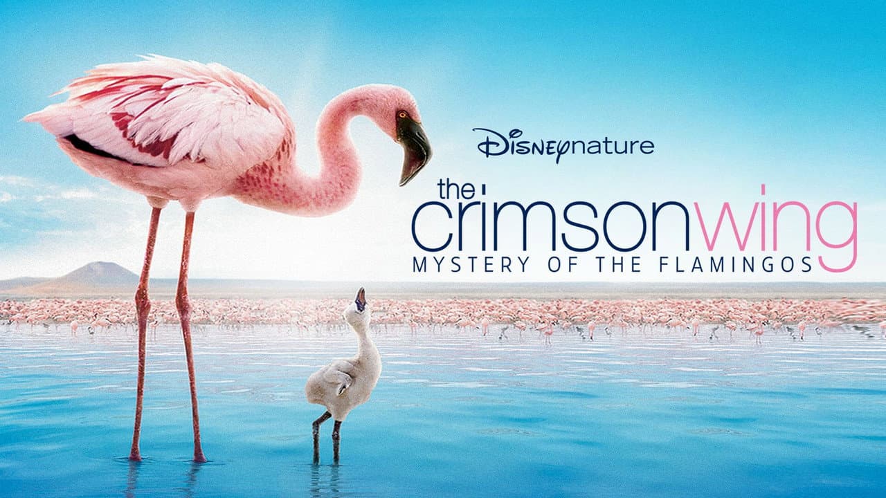 The Crimson Wing: Mystery of the Flamingos still 2