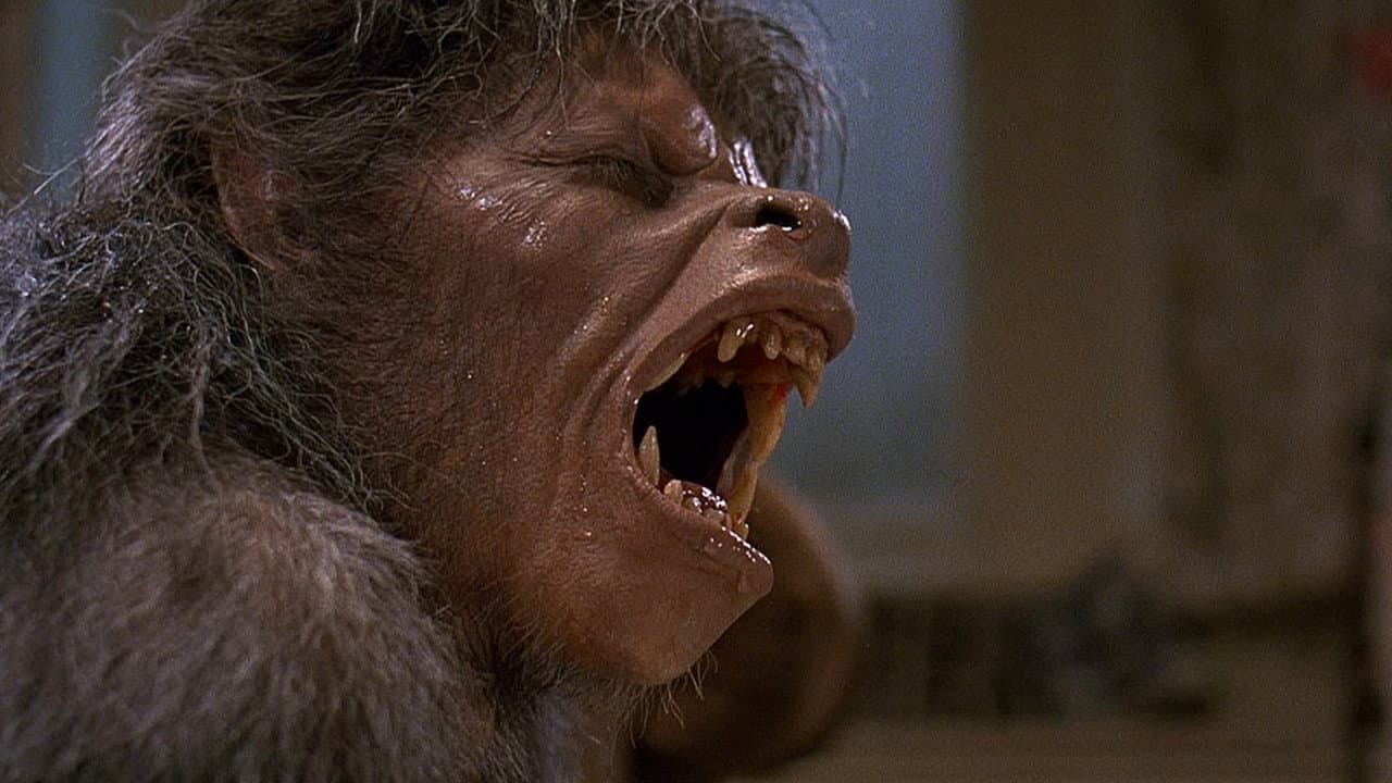 An American Werewolf in London still 6