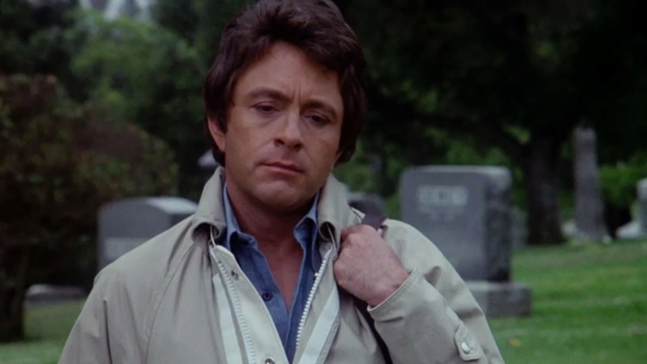 The Incredible Hulk still 2