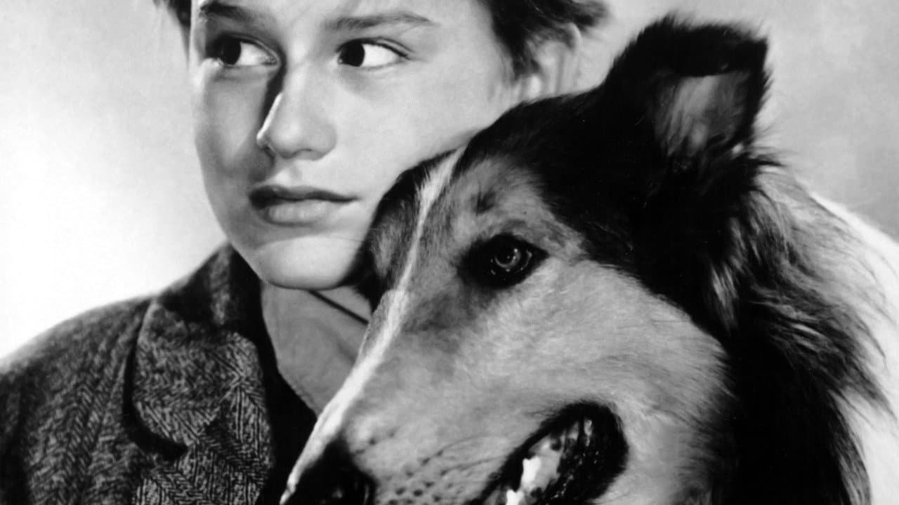 Lassie Come Home still 7