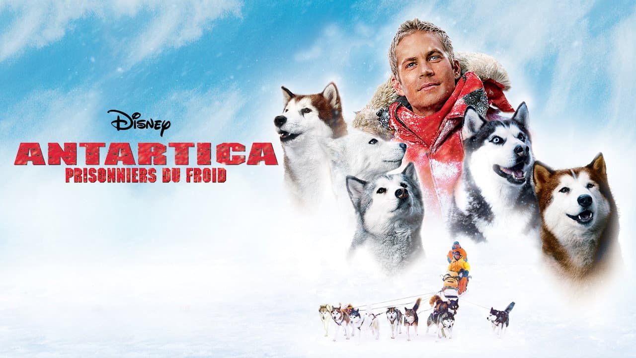 Eight Below still 2