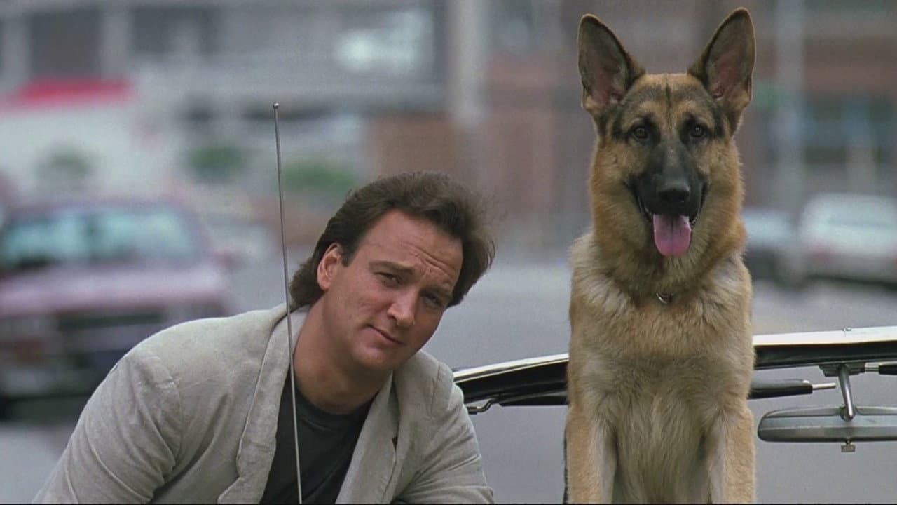 K-9 still 8