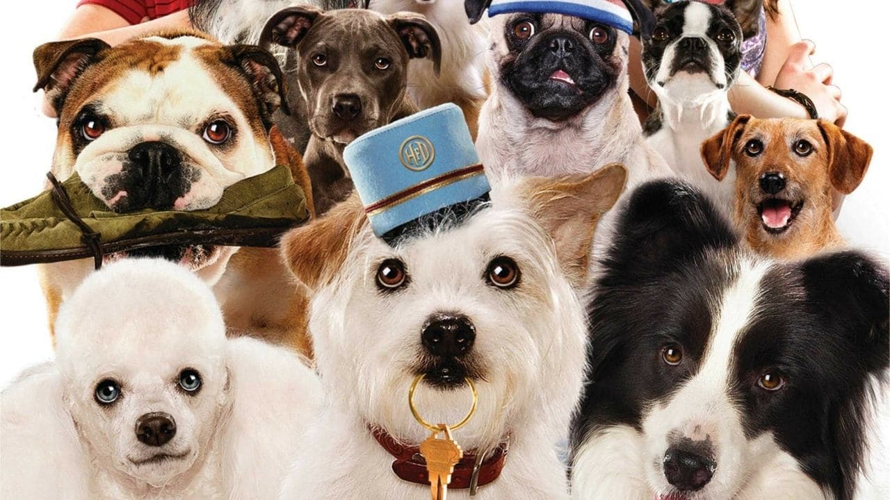 Hotel for Dogs still 1