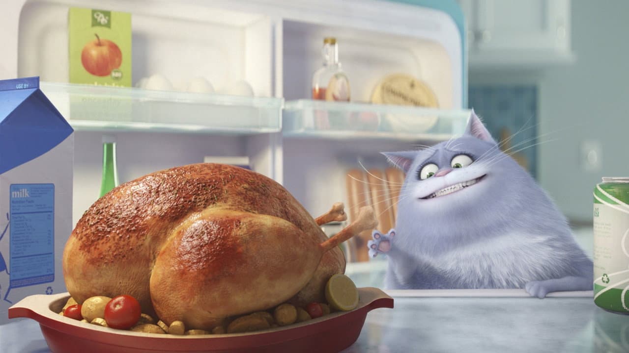 The Secret Life of Pets still 8