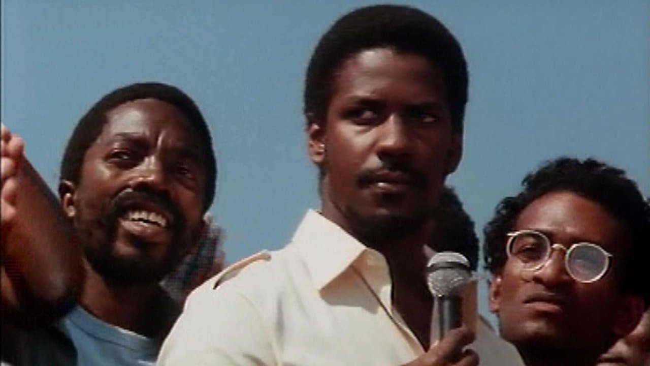 Cry Freedom still 2