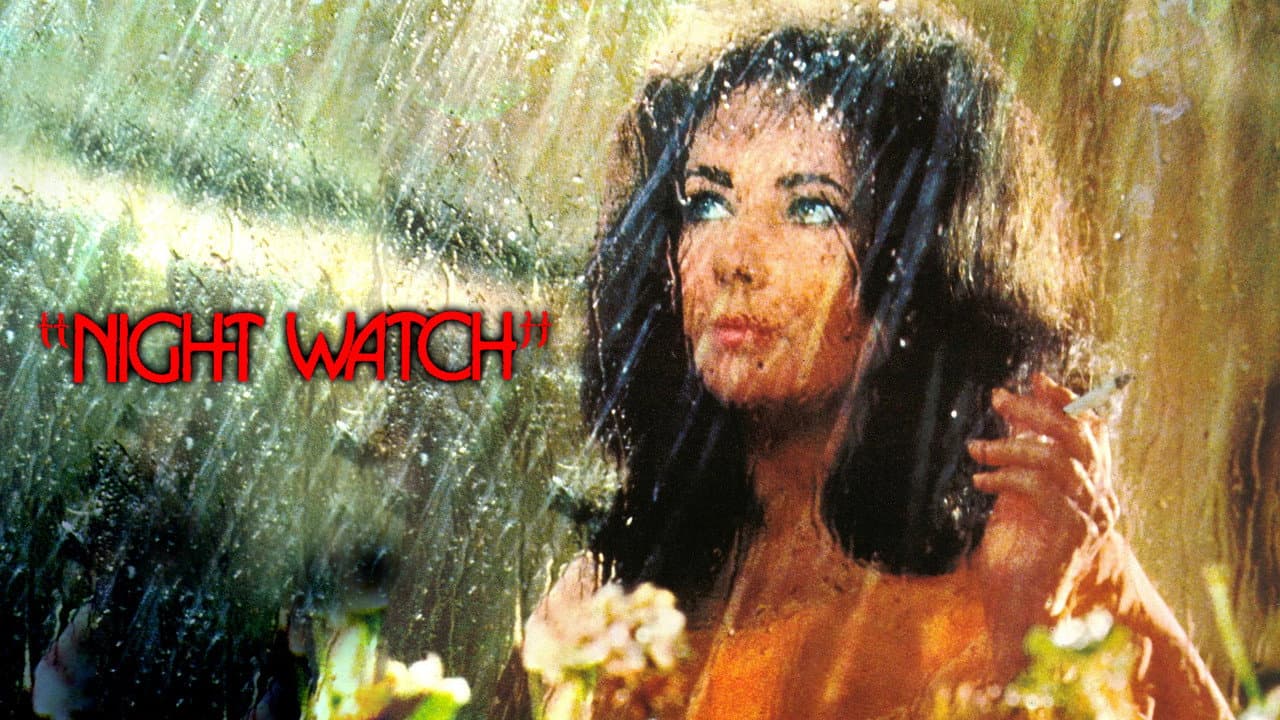 Night Watch still 3