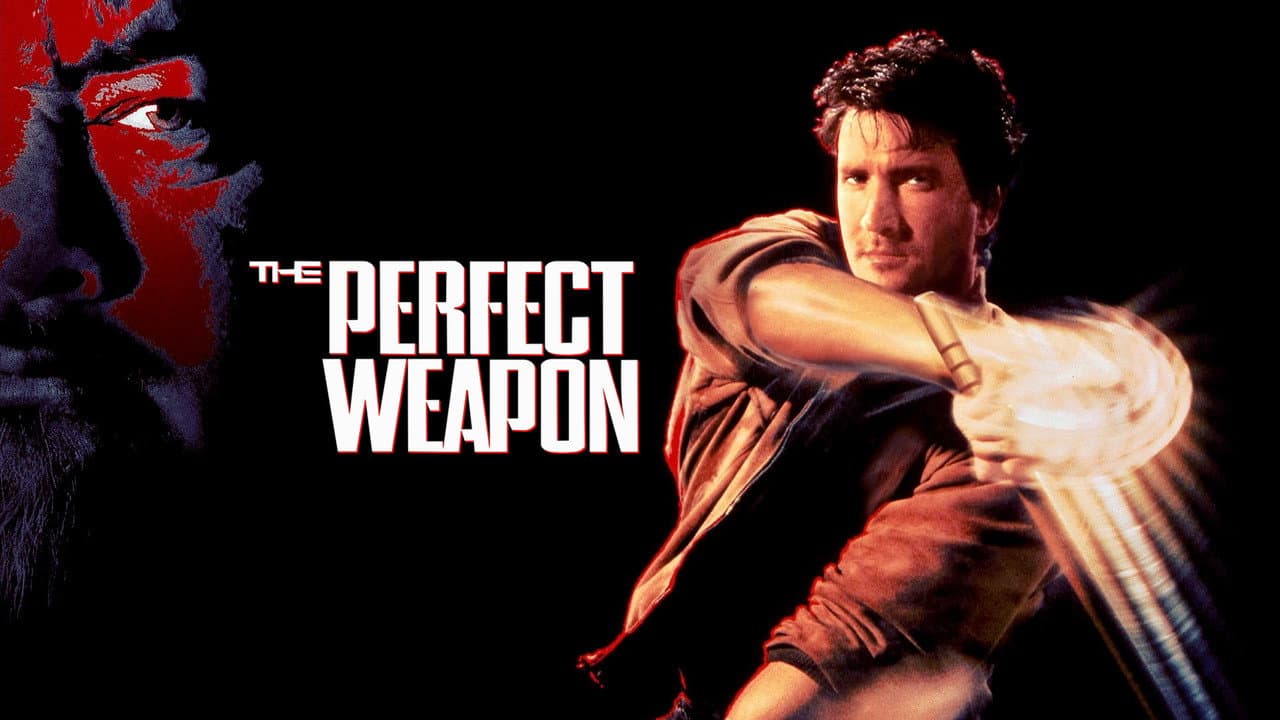 The Perfect Weapon still 1