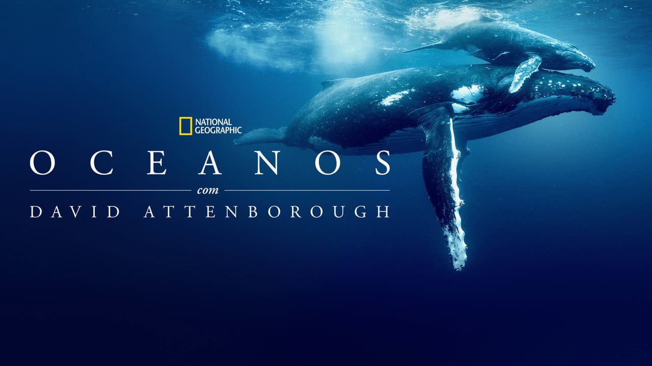 Ocean with David Attenborough still 8
