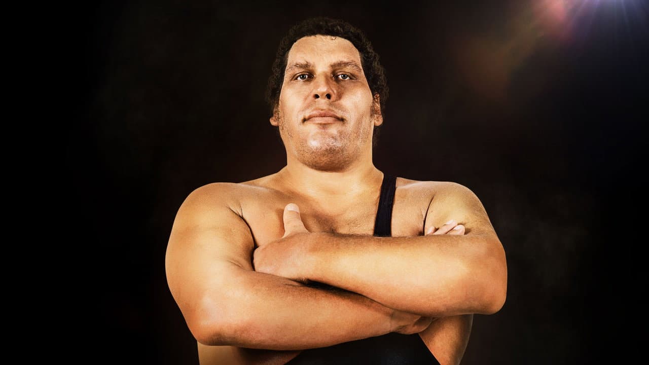 Andre the Giant still 5