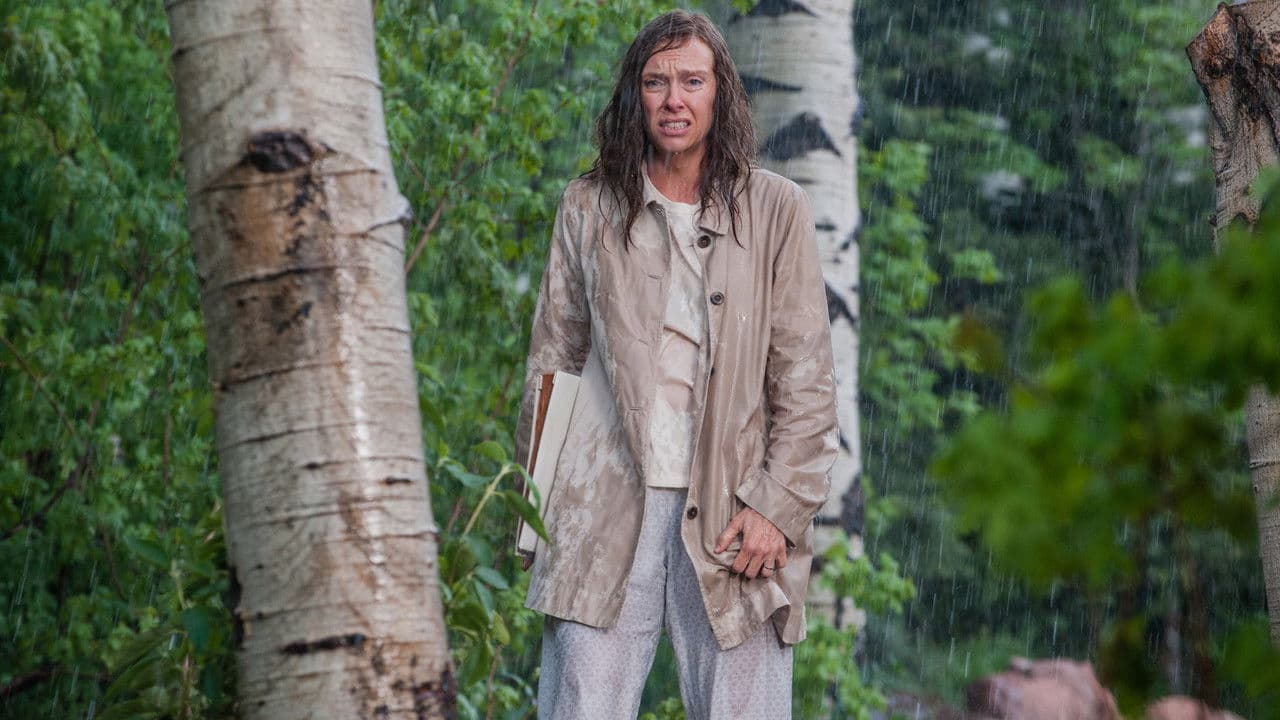 Hereditary still 6