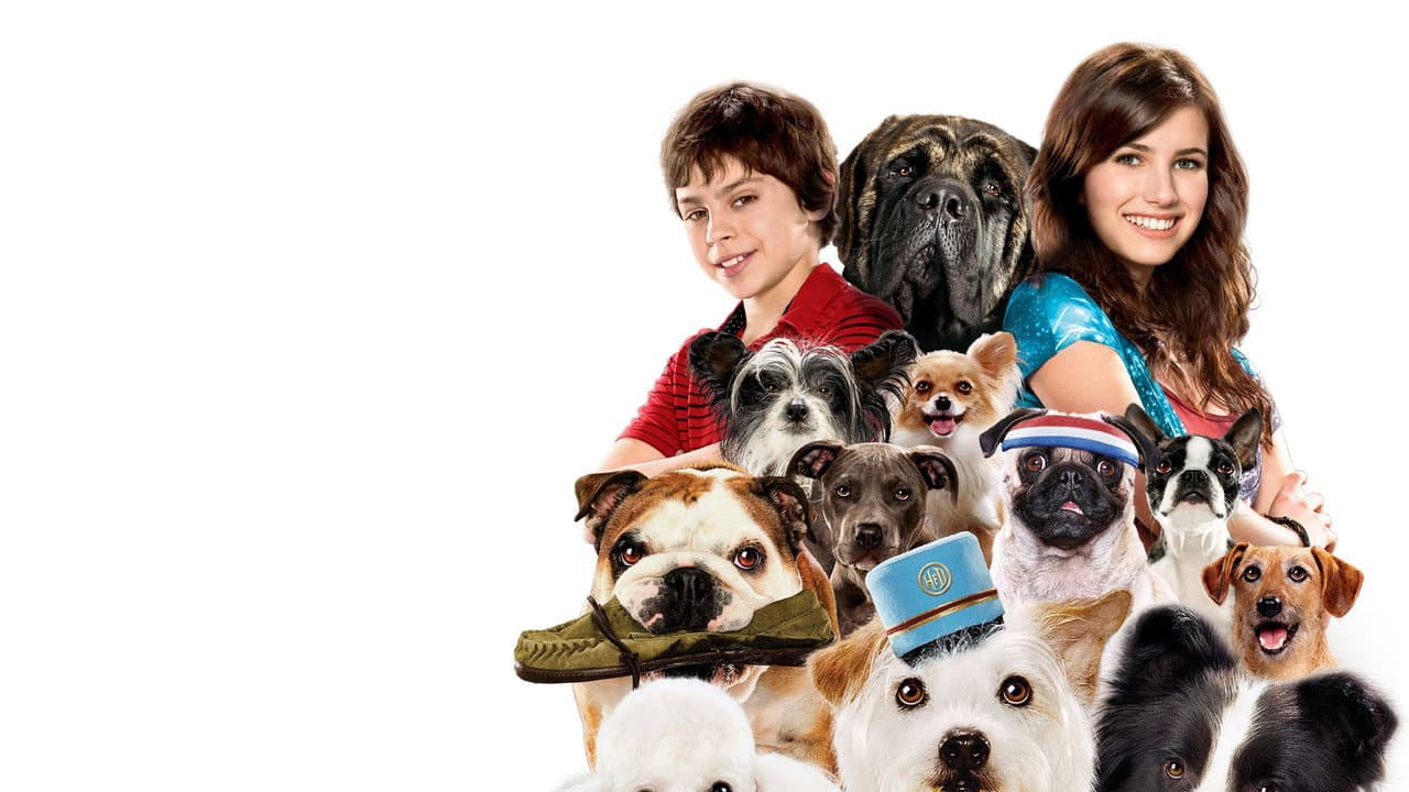 Hotel for Dogs still 2