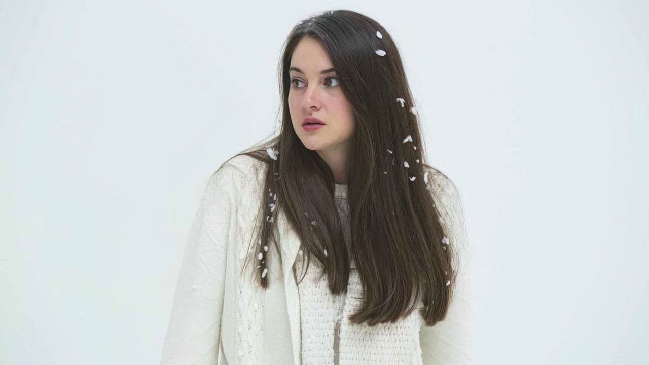 White Bird in a Blizzard still 4