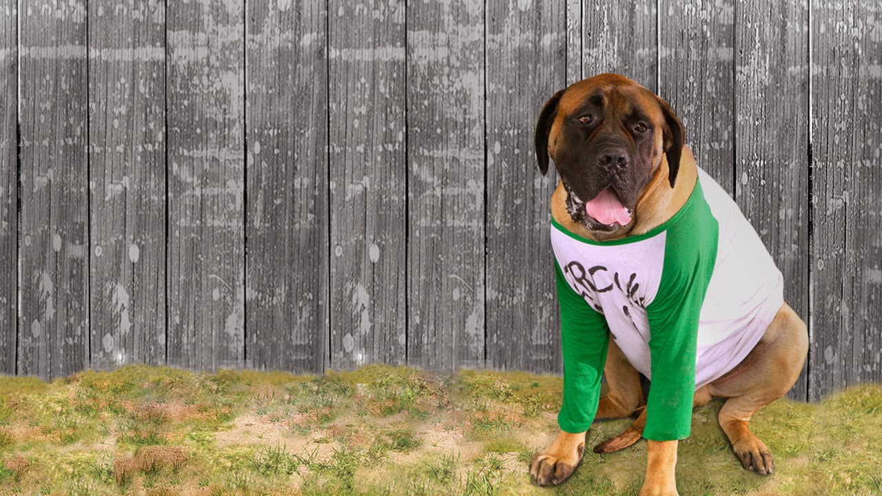 The Sandlot 2 still 4