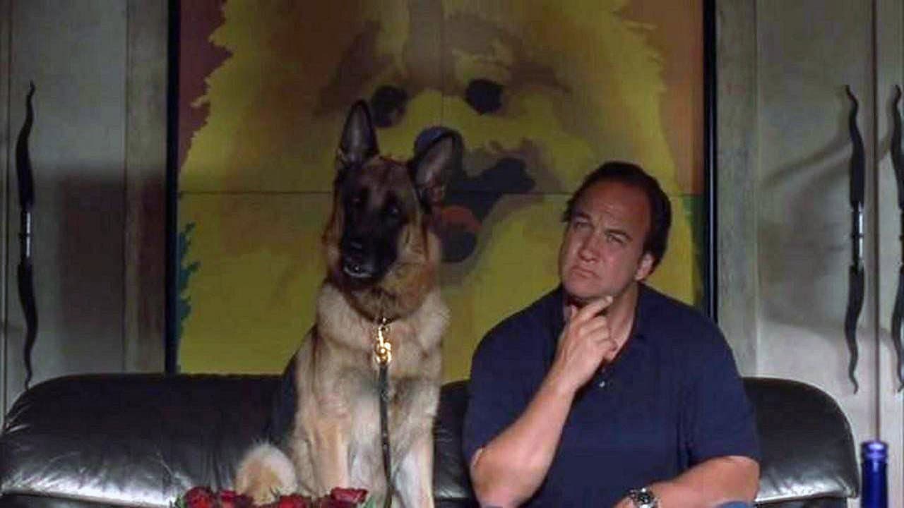 K-9: P.I. still 5