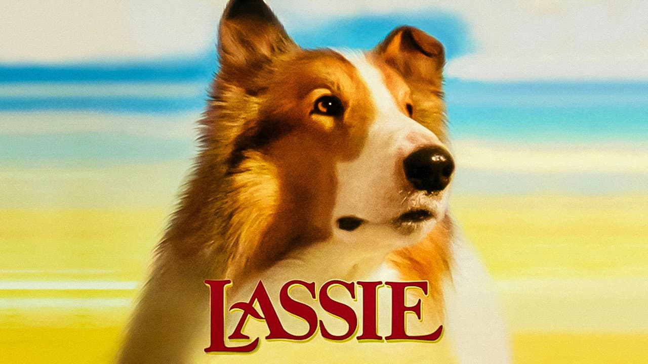 Lassie still 7