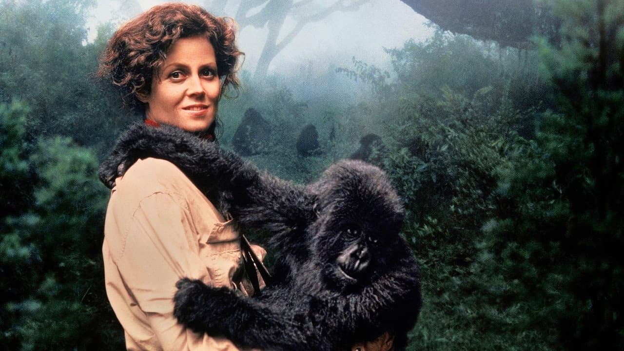Gorillas in the Mist still 4