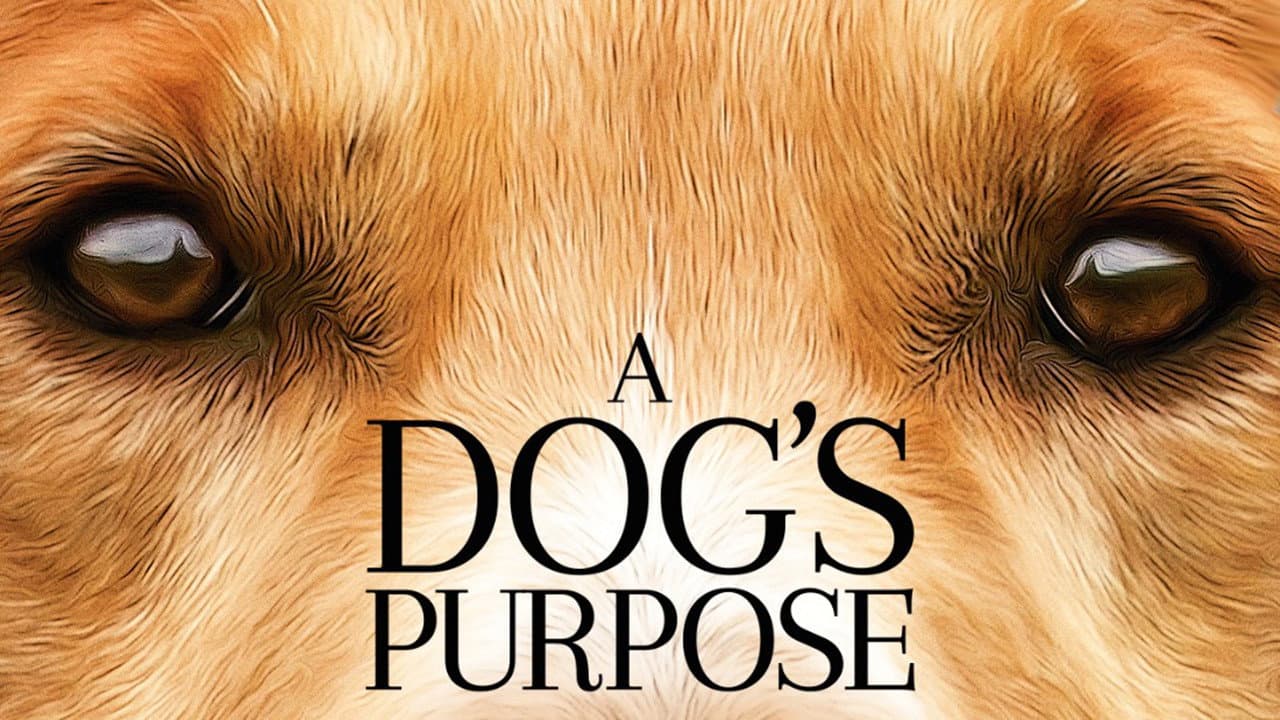 A Dog's Purpose still 7