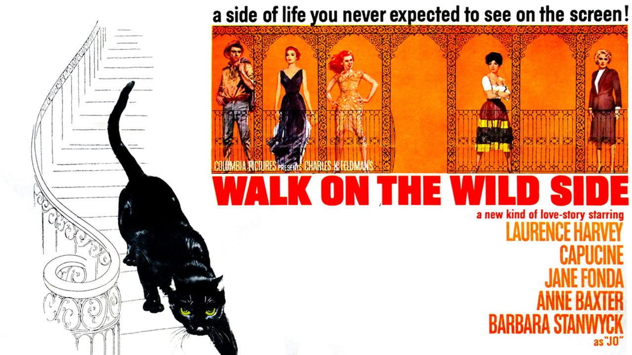 Walk on the Wild Side still 2