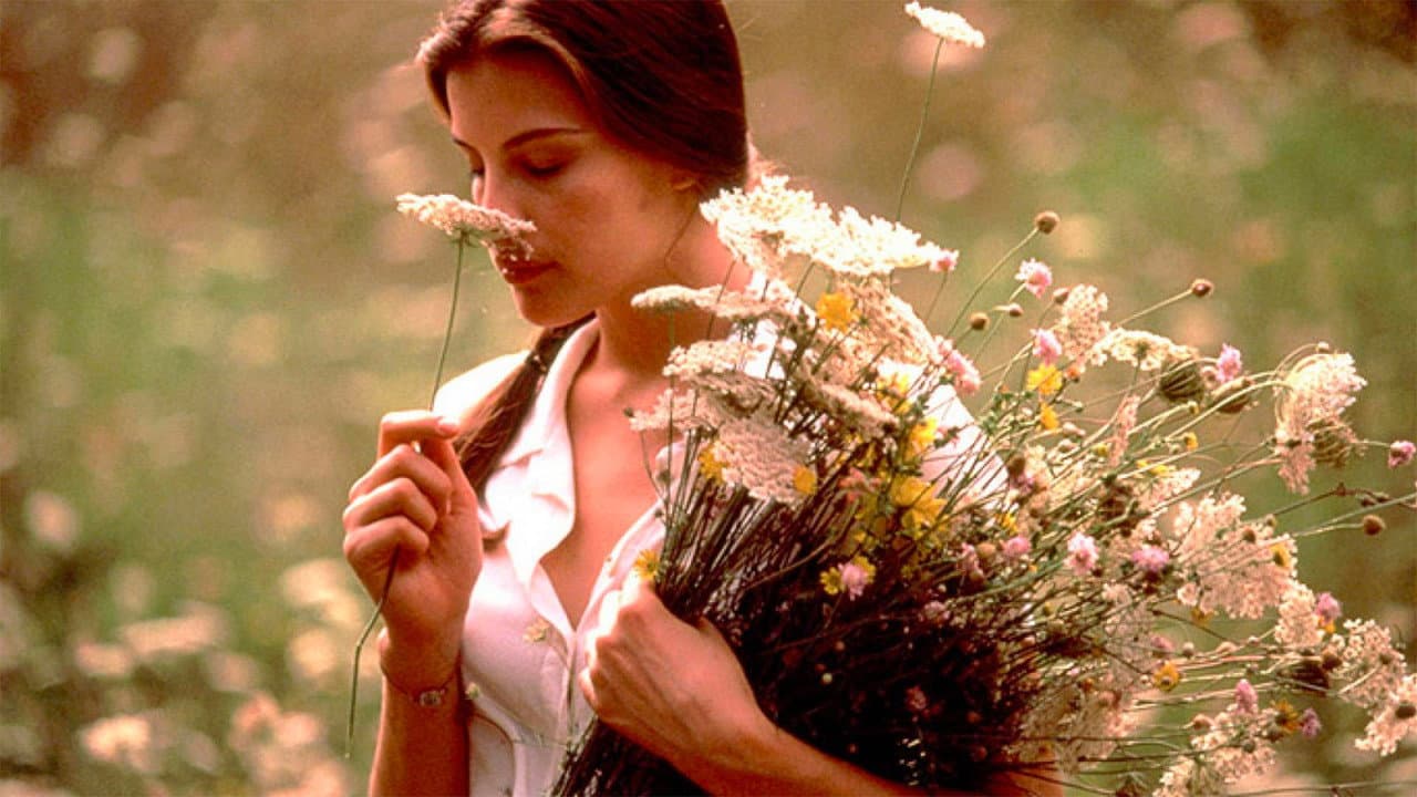 Stealing Beauty still 8