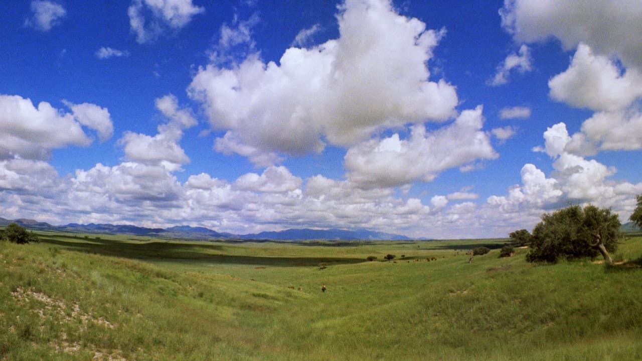 Oklahoma! still 3