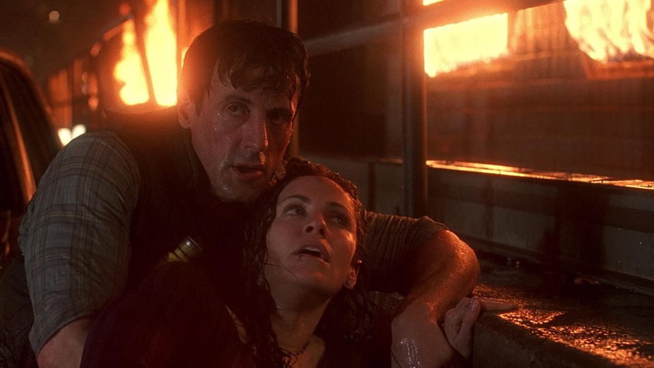 Daylight still 7