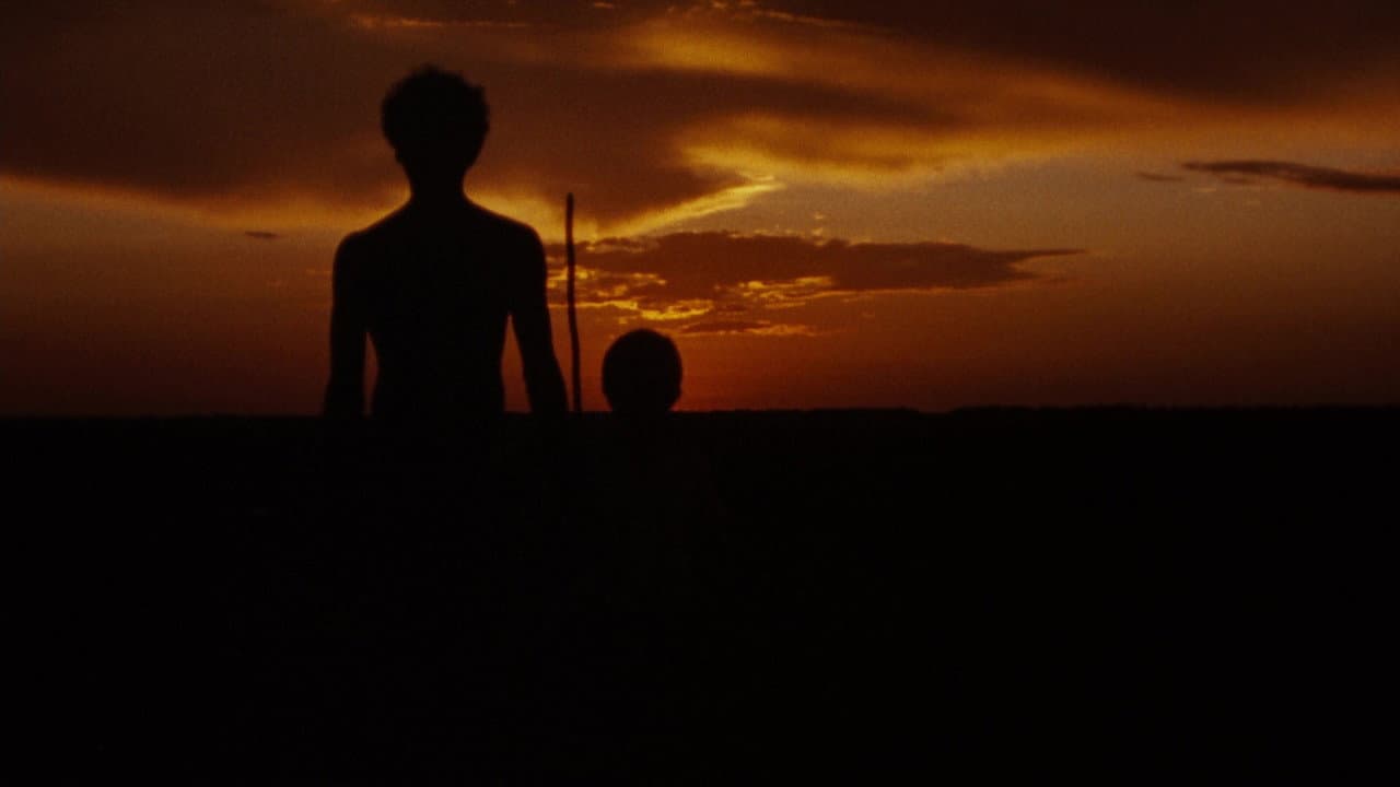 Walkabout still 8