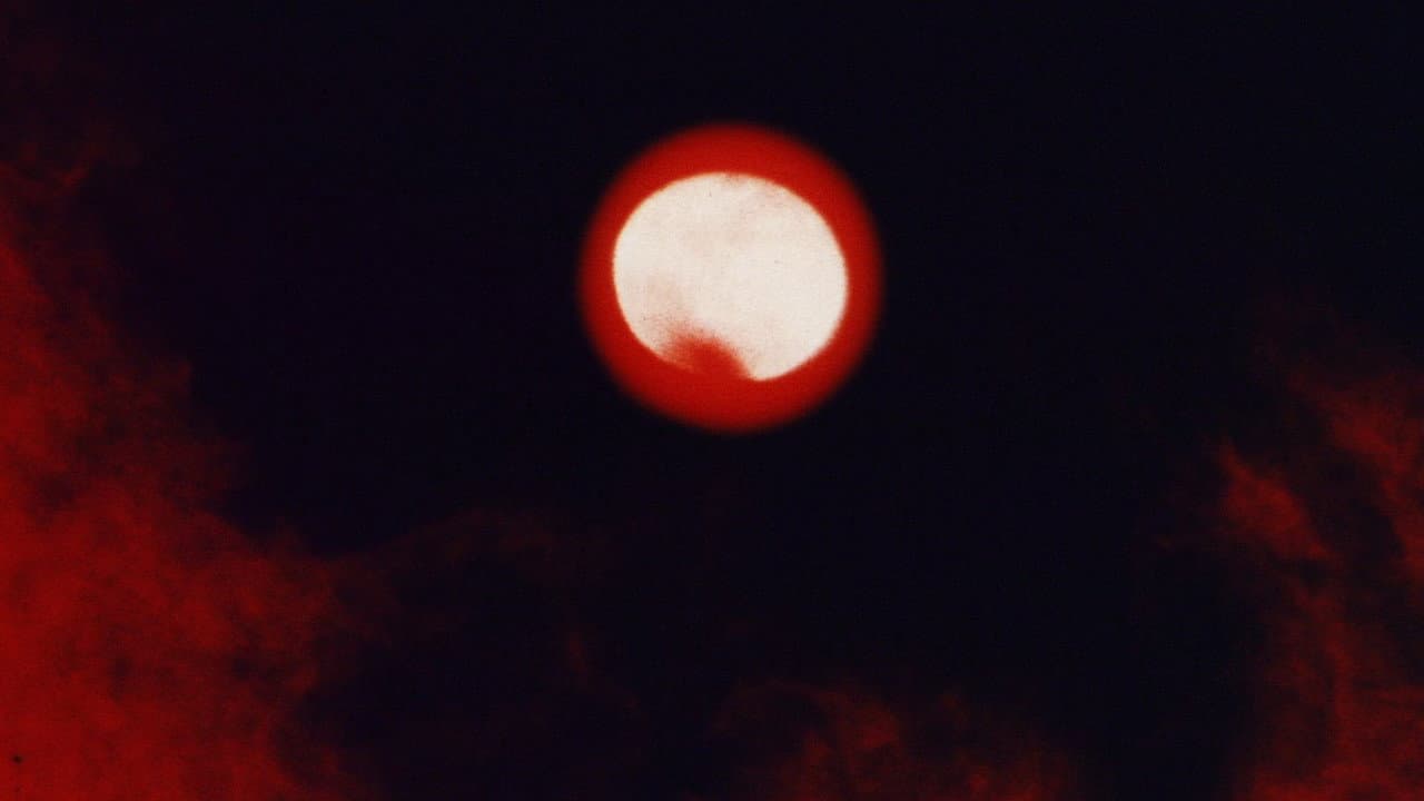 Messiah of Evil still 6