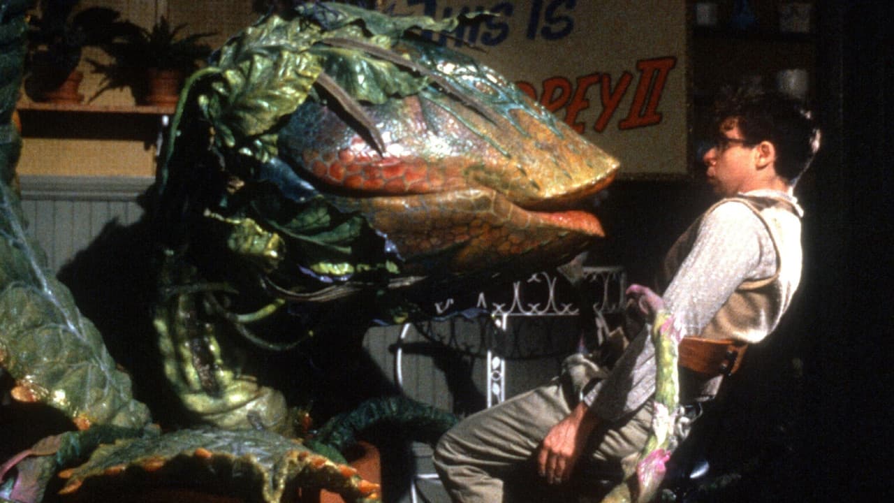 Little Shop of Horrors still 6