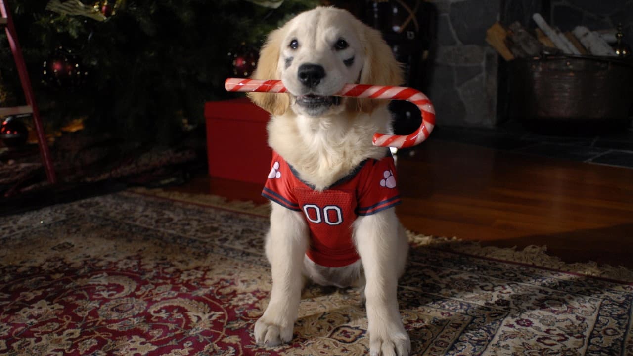 Santa Buddies still 8