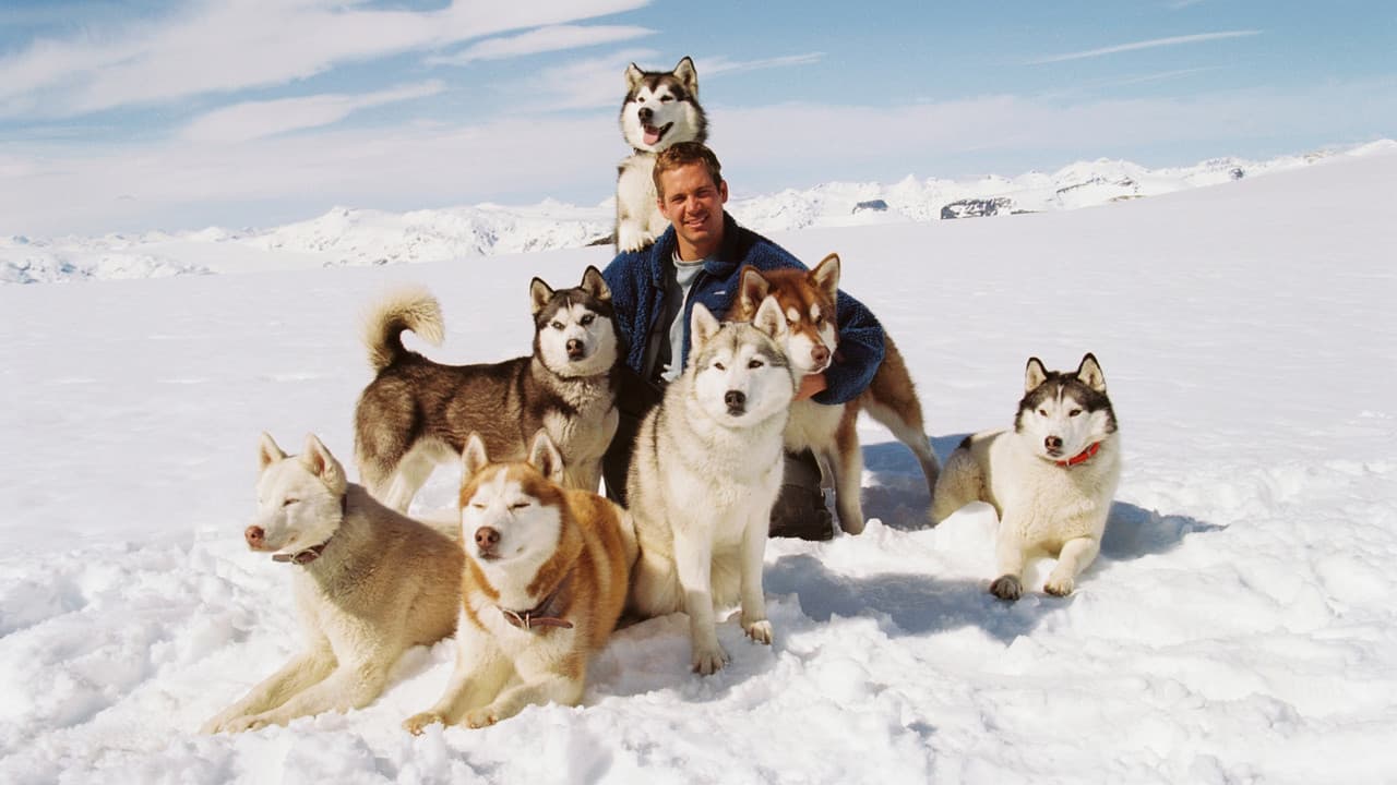 Eight Below still 4
