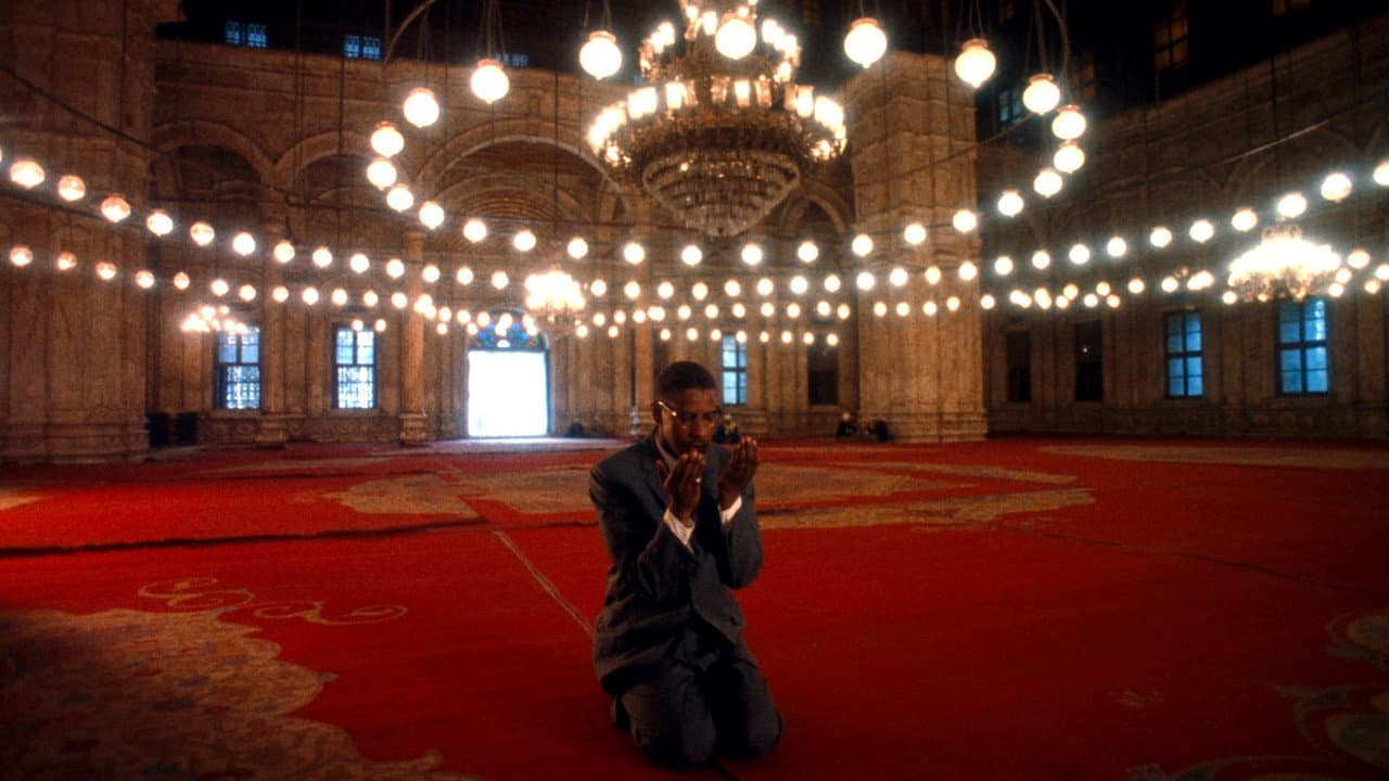 Malcolm X still 5