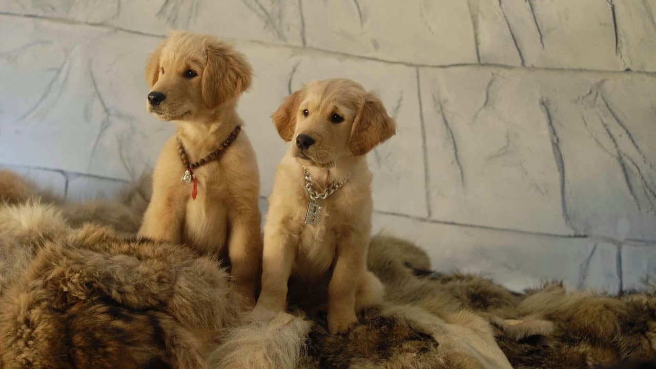 Snow Buddies still 7