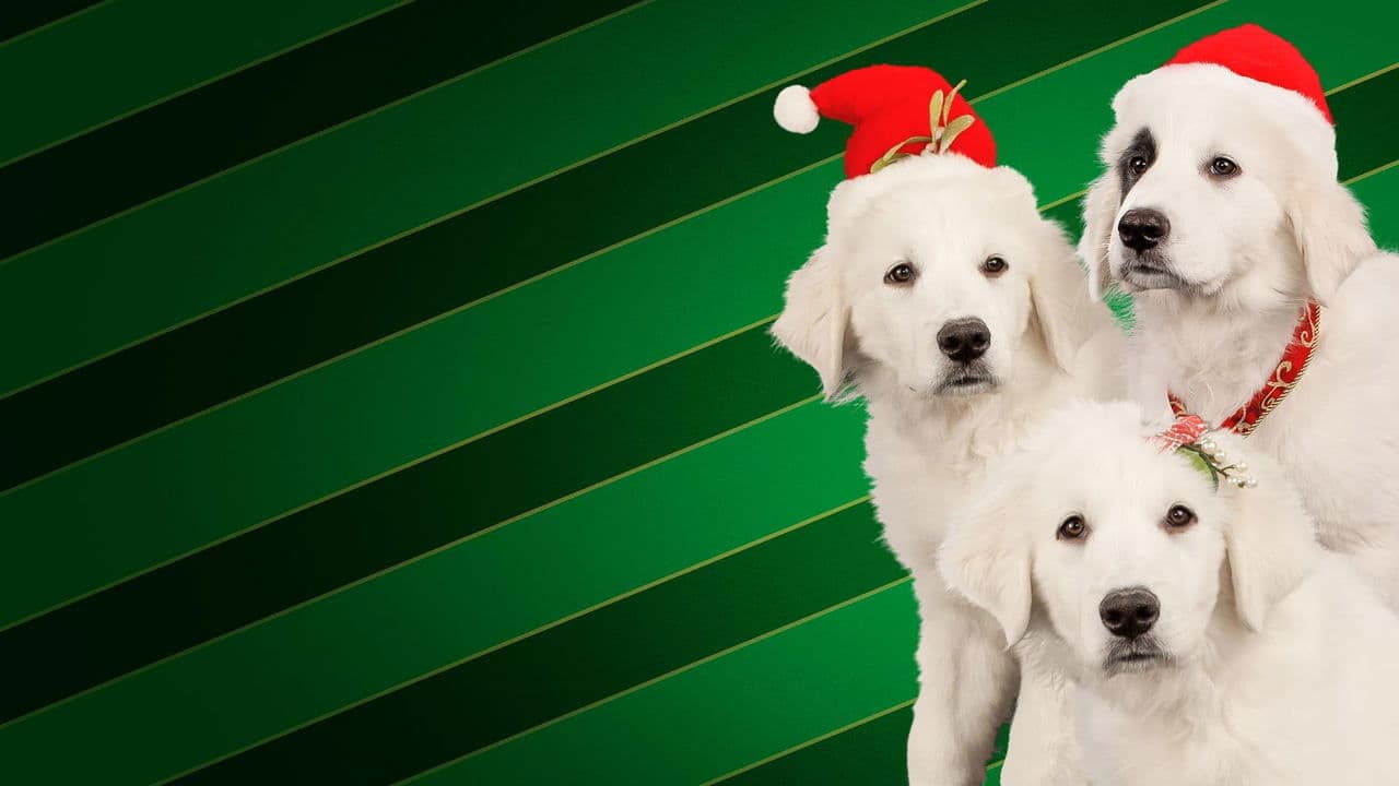 Santa Buddies still 2