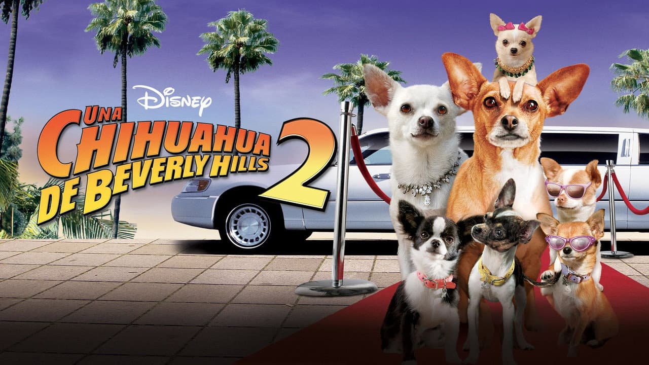 Beverly Hills Chihuahua 2 still 6