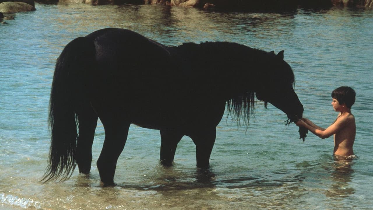 The Black Stallion still 4