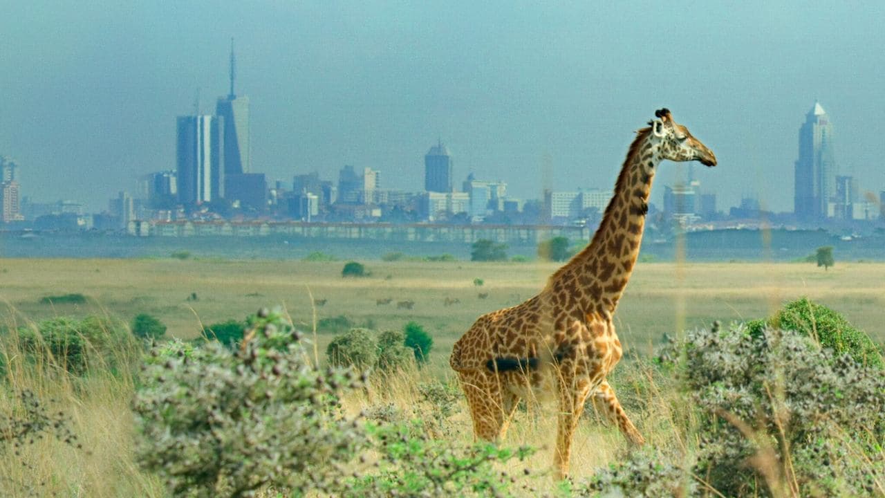 Breaking Boundaries: The Science of Our Planet still 1