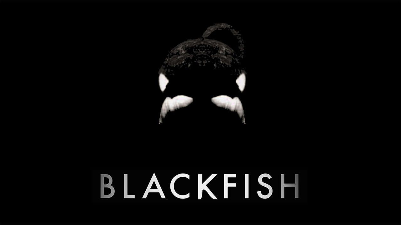 Blackfish still 5