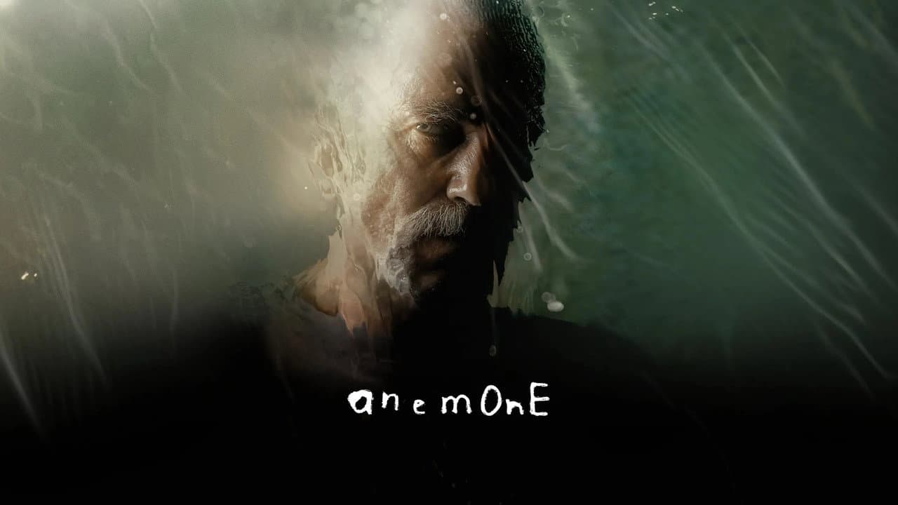 Anemone still 5