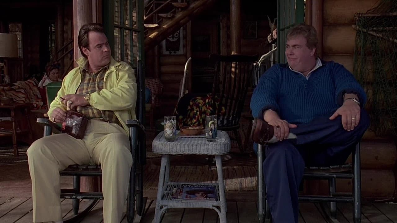 The Great Outdoors still 5