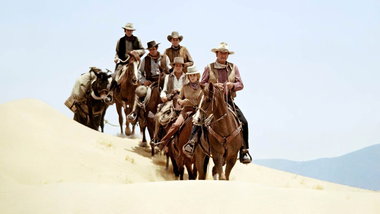 The Train Robbers still 8