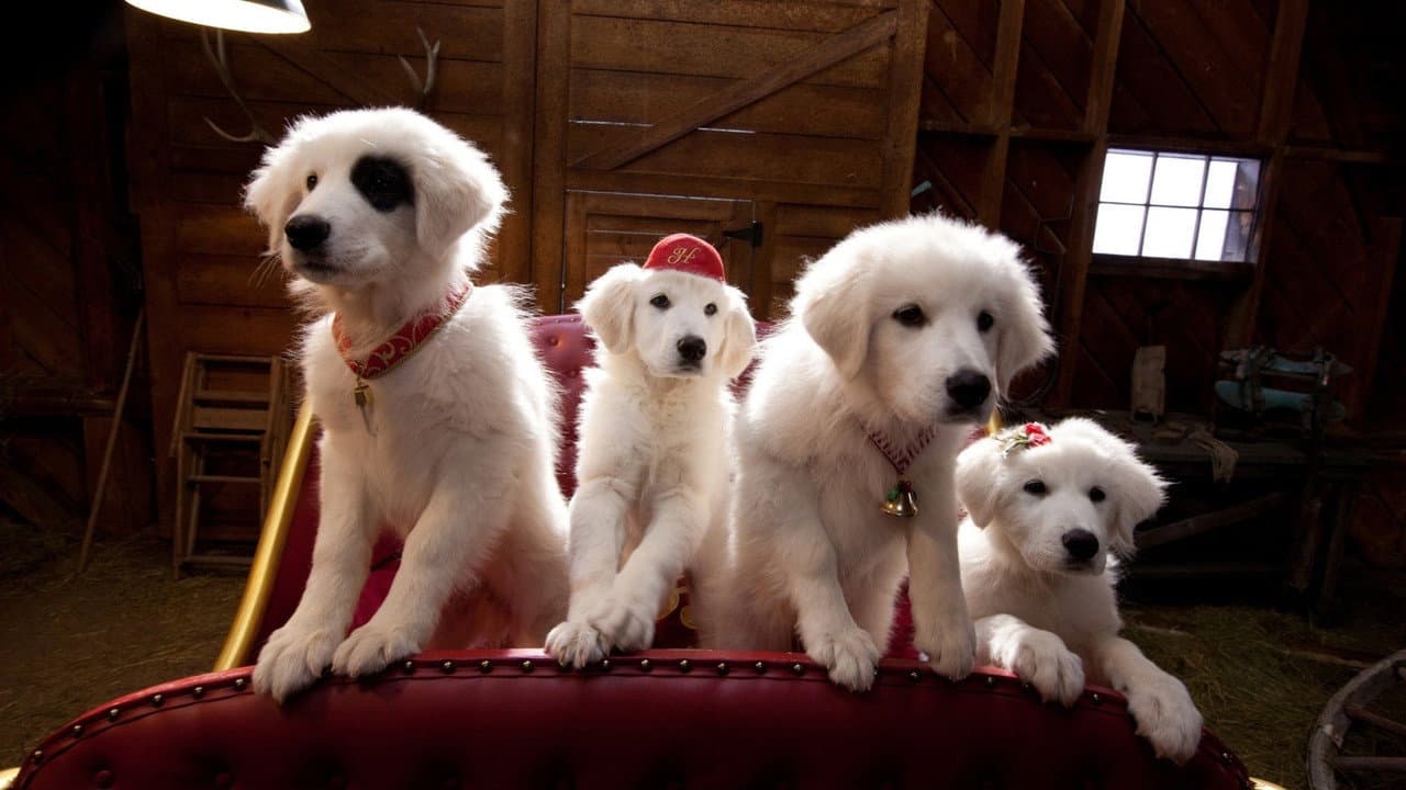 Santa Paws 2: The Santa Pups still 8