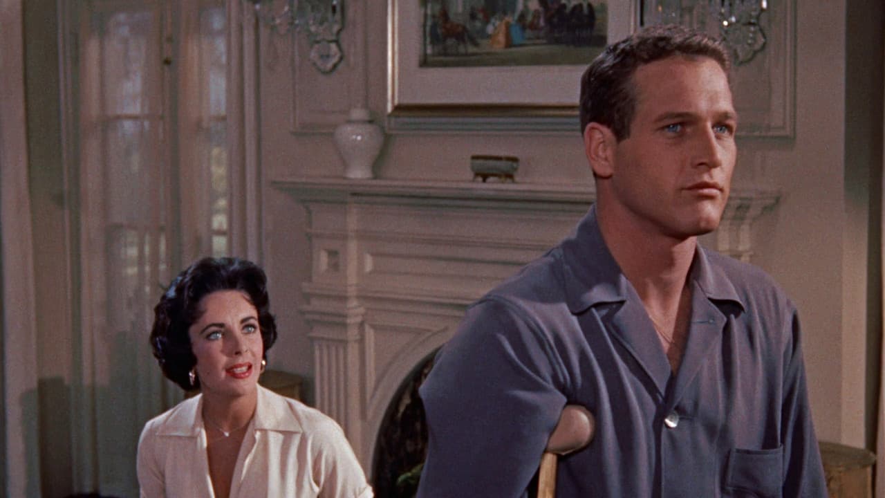 Cat on a Hot Tin Roof still 1