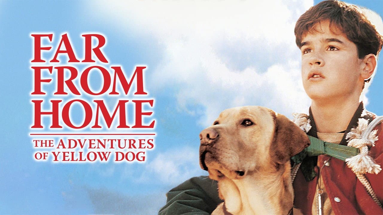 Far from Home: The Adventures of Yellow Dog still 7