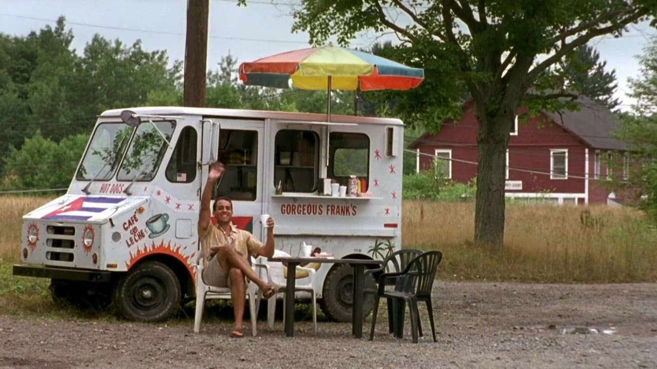 The Station Agent still 8