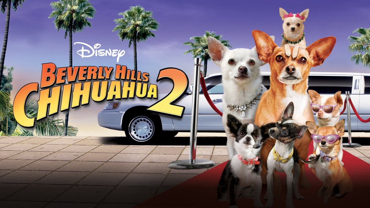 Beverly Hills Chihuahua 2 still 3