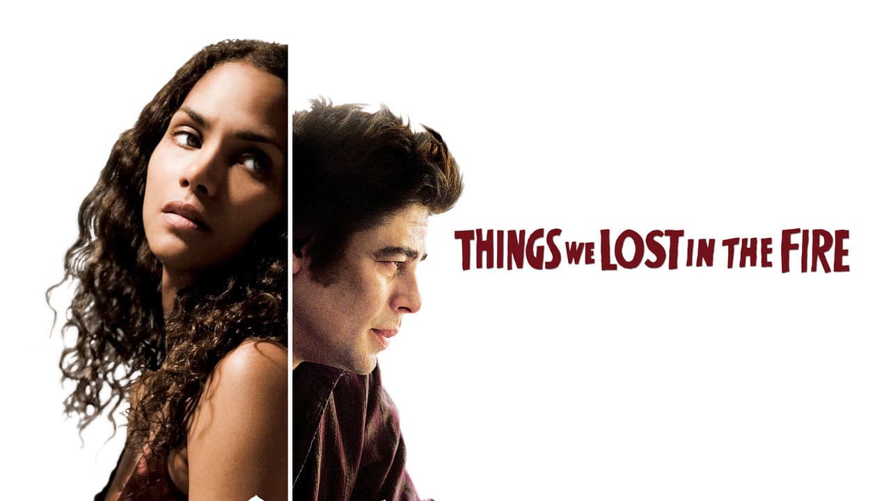 Things We Lost in the Fire still 6