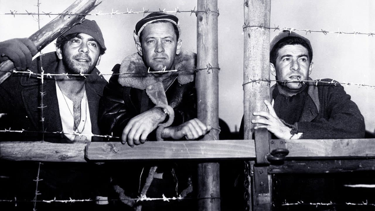 Stalag 17 still 8