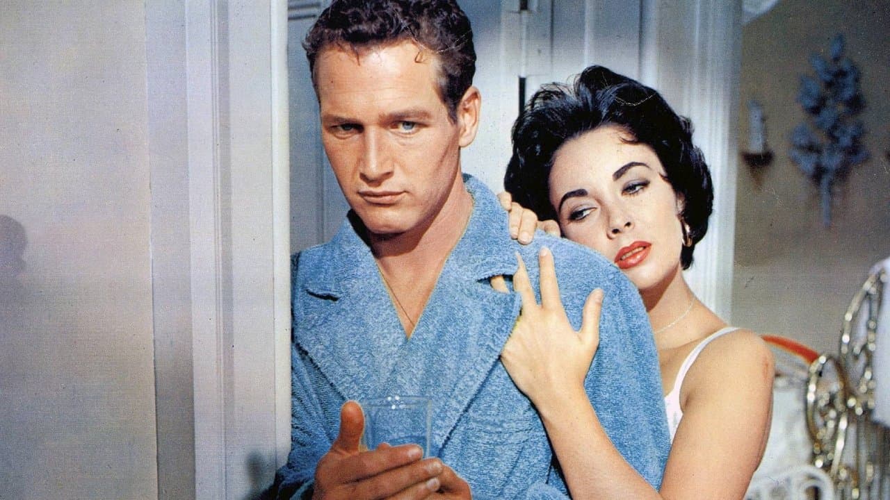 Cat on a Hot Tin Roof still 7