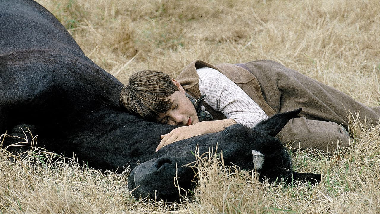 Black Beauty still 4