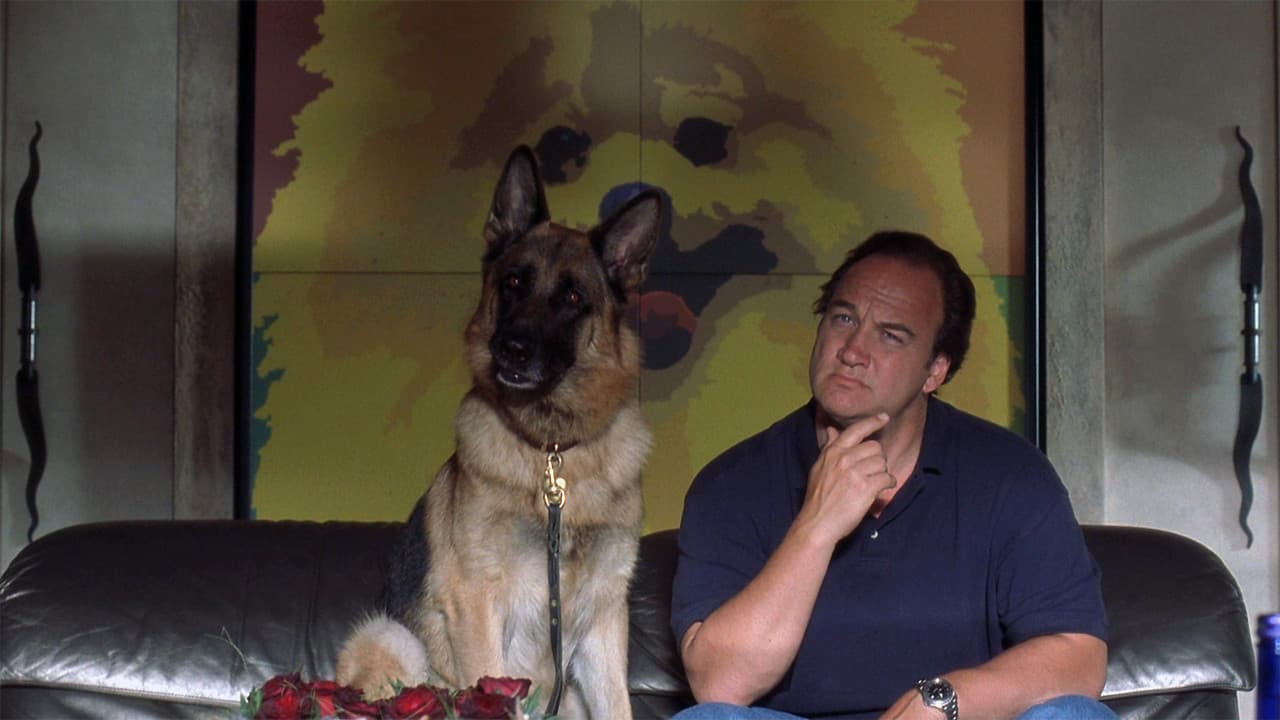 K-9: P.I. still 8